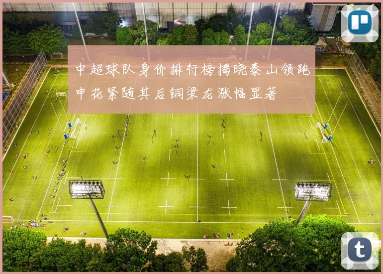 中超球队身价排行榜揭晓泰山领跑申花紧随其后铜梁龙涨幅显著