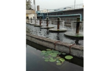 技改創(chuàng)新謀發(fā)展 開創(chuàng)永威新天地